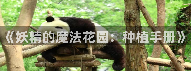 虫虫漫画页面免费漫画网：《妖精的魔法花园：种植手册》